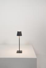 Zafferano_LAP_Poldina_micro_LD0490N3.jpg