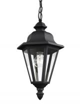 Seagull - Generation 6025-12 - Brentwood One Light Outdoor Pendant