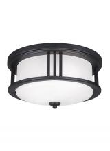 Seagull - Generation 7847902-12 - Crowell Two Light Outdoor Ceiling Flush Mount
