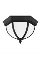 Seagull - Generation 79136-12 - Wynfield Two Light Outdoor Ceiling Flush Mount