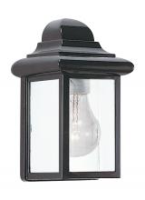 Seagull - Generation 8588-12 - Mullberry Hill One Light Outdoor Wall Lantern