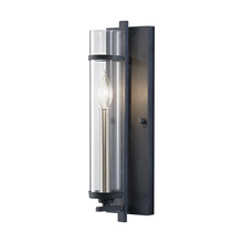 Seagull - Generation WB1560AF/BS - Ethan Wall Sconce