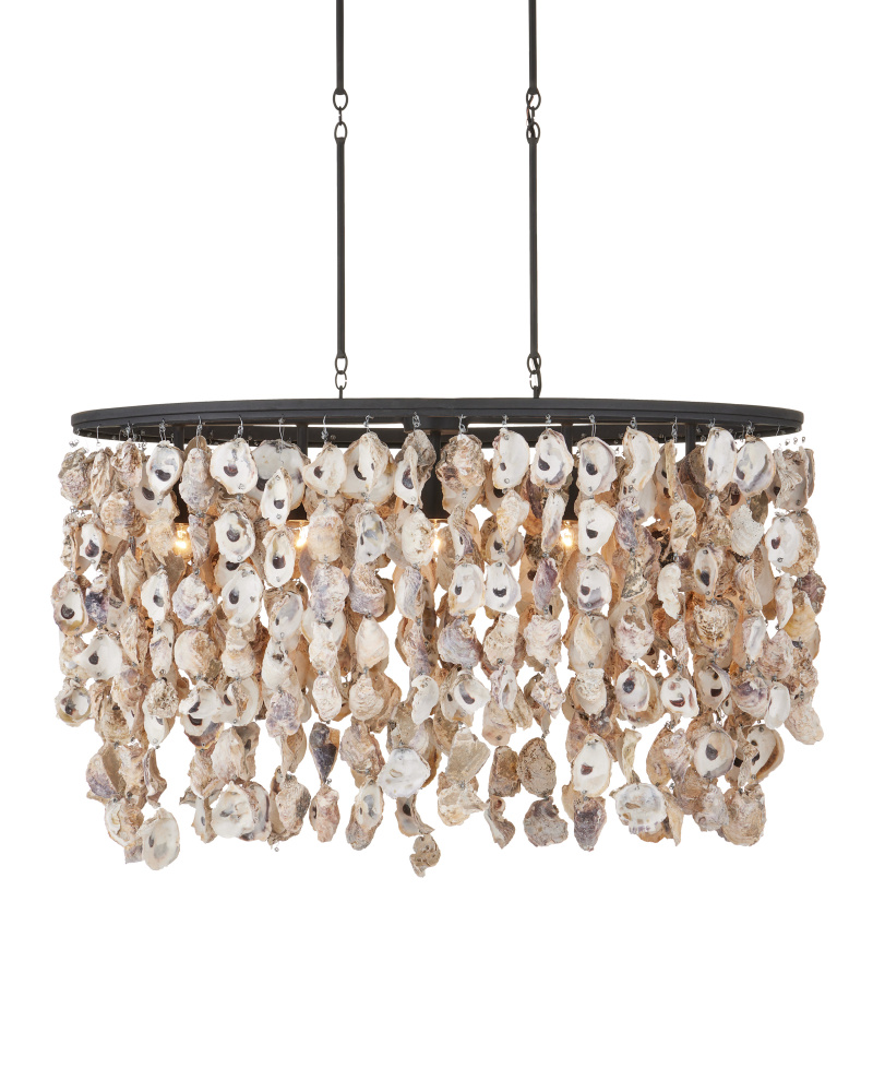 Stillwater Oyster Shell Oval Chandelier